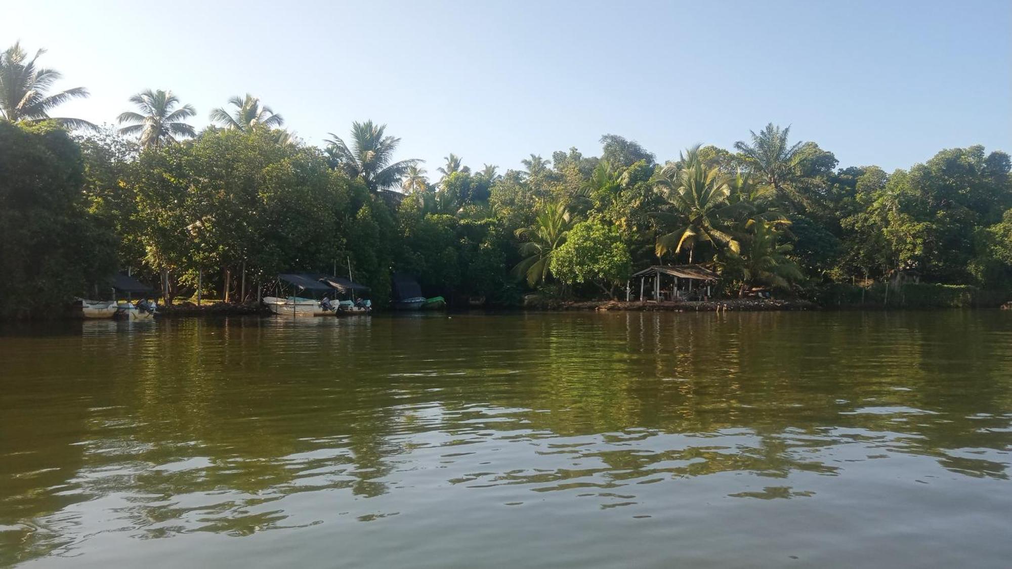 Little Swan Guest House بينتوتا المظهر الخارجي الصورة