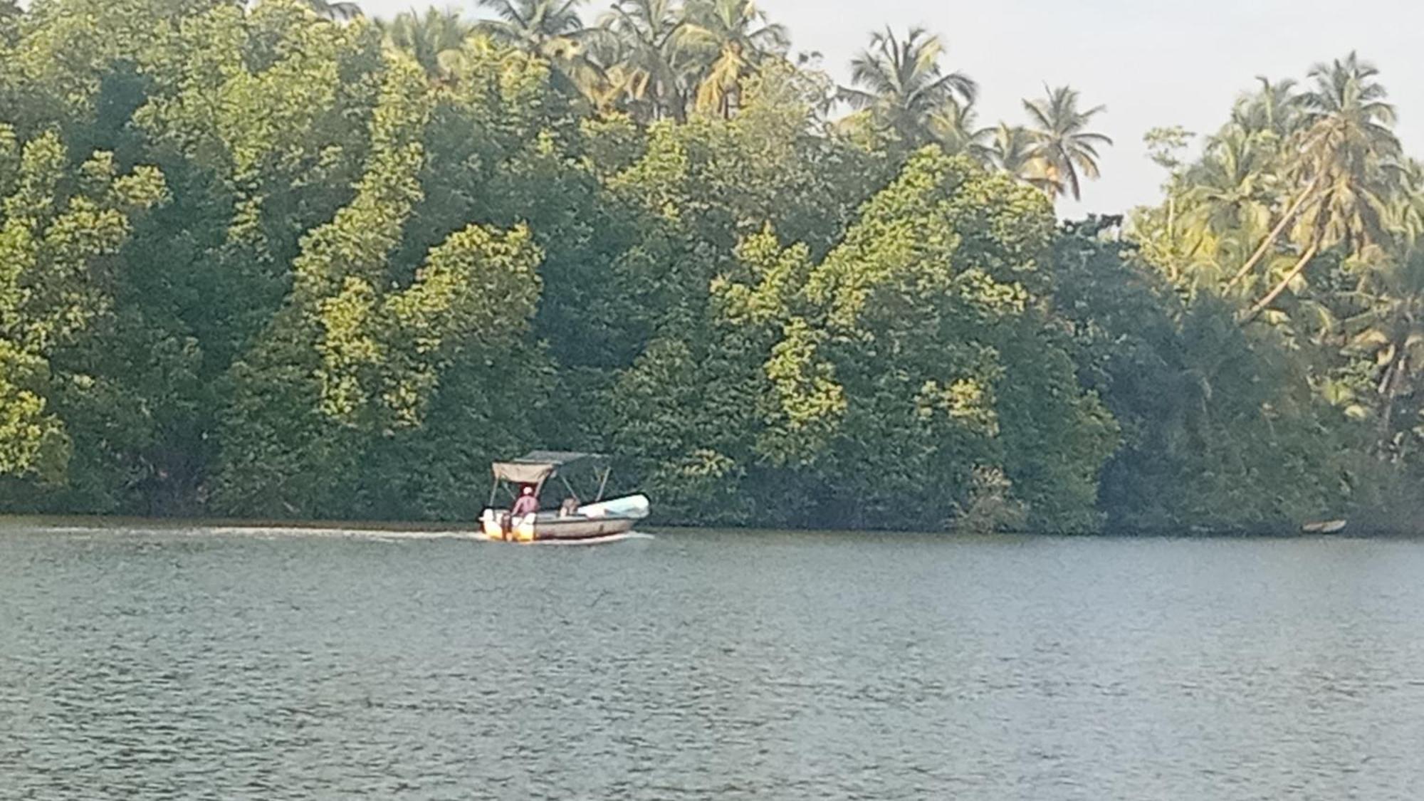 Little Swan Guest House بينتوتا المظهر الخارجي الصورة