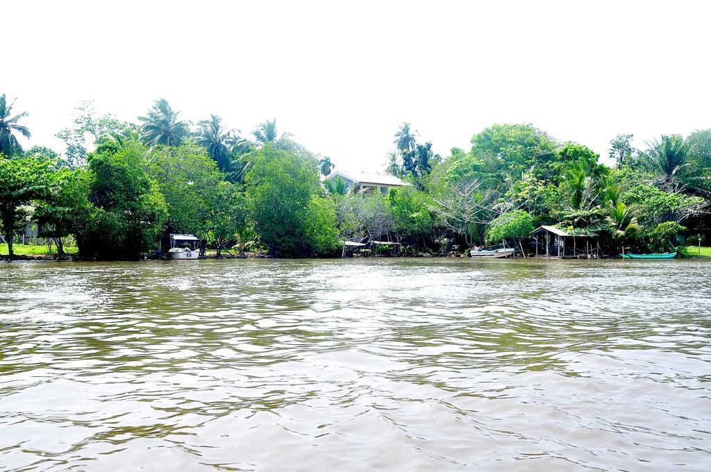 Little Swan Guest House بينتوتا المظهر الخارجي الصورة