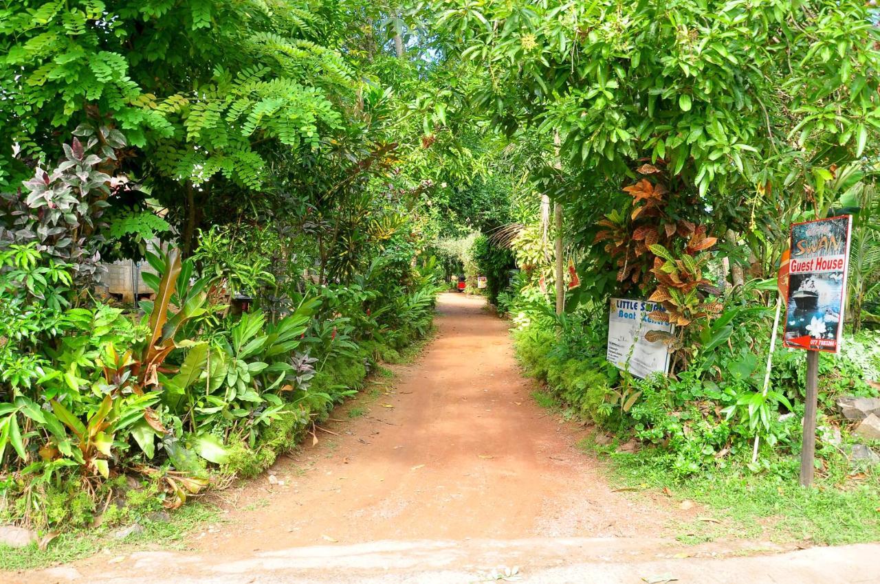 Little Swan Guest House بينتوتا المظهر الخارجي الصورة