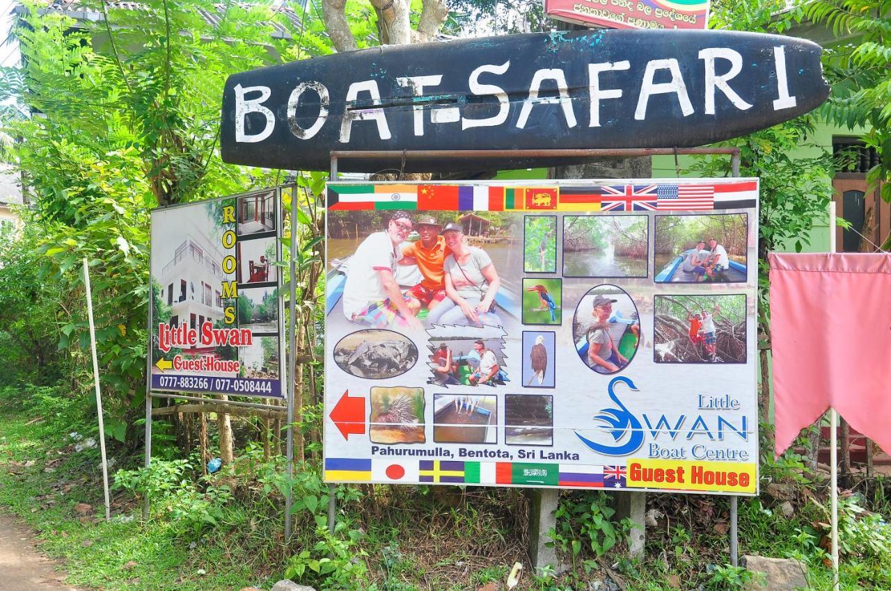 Little Swan Guest House بينتوتا المظهر الخارجي الصورة